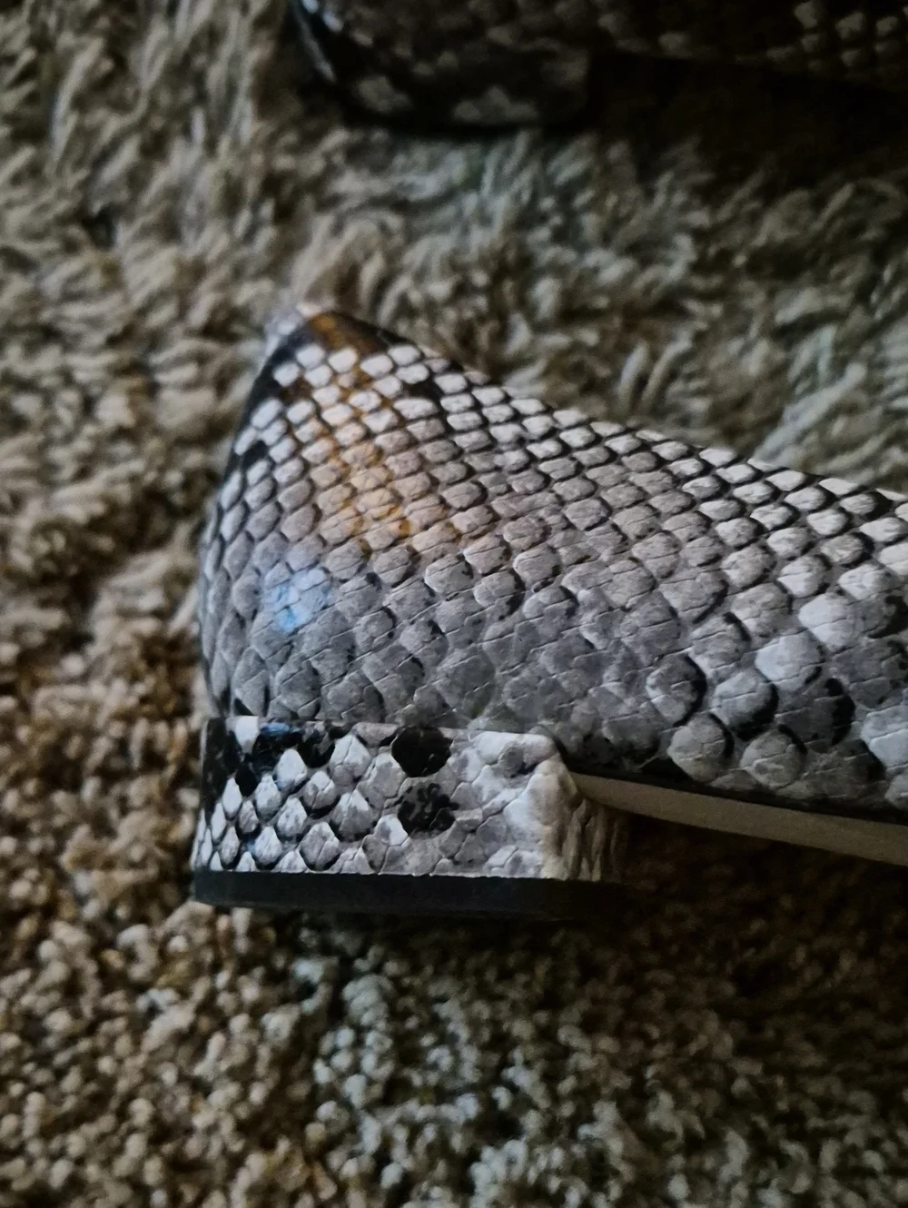 Tory Burch Black & White Snake-Print Reva small heels with Gold Logo